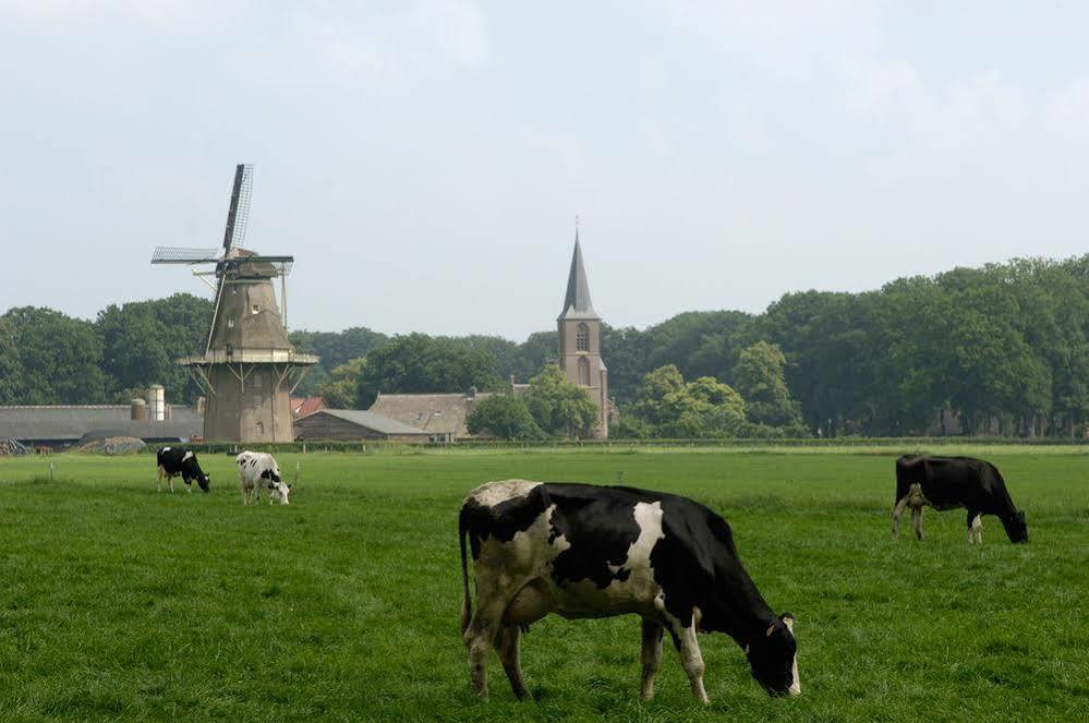Hotel Mooirivier